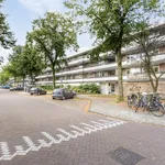 Rent 4 bedroom apartment of 88 m² in Buitenveldert-West