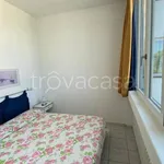 Rent 3 bedroom apartment of 60 m² in Cervia