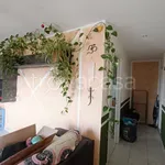 Rent 4 bedroom apartment of 85 m² in Asti