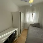 Rent a room in madrid