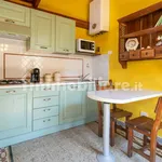 Rent 1 bedroom apartment of 35 m² in Florence