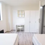 Rent 1 bedroom apartment in Brno