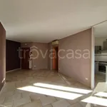 Rent 4 bedroom apartment of 95 m² in Turin