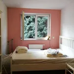 Rent a room in frankfurt