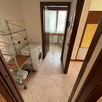 Rent 2 bedroom apartment of 60 m² in Verona