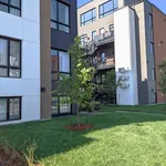 Rent 1 bedroom apartment in Gatineau