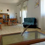 Rent 4 bedroom apartment of 103 m² in Ancona