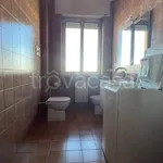 Rent 1 bedroom apartment of 45 m² in Piacenza