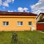 Rent 1 bedroom house of 897 m² in Olomouc