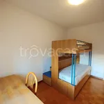 Rent 4 bedroom apartment of 75 m² in Legnaro