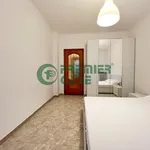 Rent 2 bedroom apartment of 55 m² in Turin