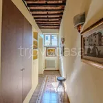 Rent 4 bedroom apartment of 233 m² in Lucca