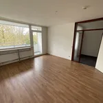 Rent 3 bedroom house of 79 m² in Siegen