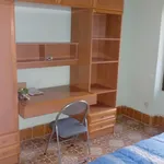 Rent 5 bedroom apartment in Alicante