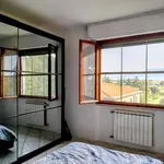 Rent 3 bedroom apartment of 70 m² in Pisa