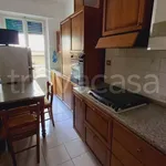 Rent 3 bedroom apartment of 80 m² in Rapallo