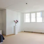 Huur 2 slaapkamer appartement van 116 m² in Den Haag