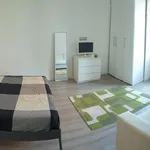 Rent 1 bedroom apartment of 50 m² in Roma