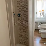 Rent 3 bedroom apartment of 65 m² in Torino