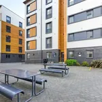 Rent 1 bedroom apartment in Leicester