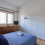 Rent a room in lisbon