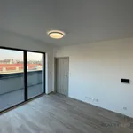 Rent 2 bedroom apartment of 36 m² in Břeclav