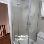 Pronajměte si 3 ložnic/e byt o rozloze 60 m² v Litvínov