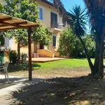 Rent 3 bedroom apartment of 90 m² in Capalbio