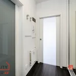 Pronajměte si 1 ložnic/e byt o rozloze 43 m² v Pilsen