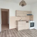 Pronajměte si 1 ložnic/e byt o rozloze 22 m² v Teplice