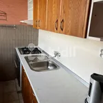 Rent 3 bedroom apartment in Hradec Králové