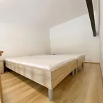 Pronajměte si 3 ložnic/e byt o rozloze 43 m² v Brno