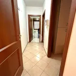 Rent 3 bedroom apartment of 65 m² in Roma