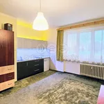 Rent 1 bedroom apartment of 24 m² in Ostrava