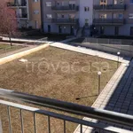 Rent 4 bedroom apartment of 110 m² in L'Aquila