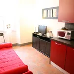 Rent 1 bedroom apartment of 45 m² in florence