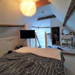 Rent 1 bedroom house in East Of England