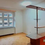 Rent 3 bedroom apartment in Capital City of Prague