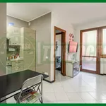 Rent 1 bedroom apartment of 35 m² in Gallarate