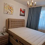 Rent 3 bedroom apartment of 86 m² in Brașov