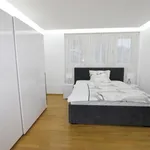 Rent 3 bedroom apartment of 100 m² in Prague