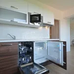 Rent 1 bedroom apartment of 32 m² in Praha