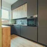 Rent 3 bedroom apartment of 110 m² in Torino