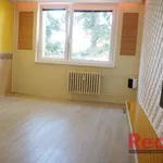 Rent 1 bedroom apartment of 28 m² in Brno