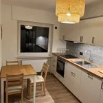 Rent 4 bedroom apartment of 100 m² in Frankfurt