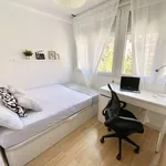 Rent a room in madrid