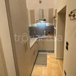 Rent 1 bedroom apartment of 43 m² in Cremona