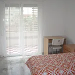 Rent a room in Málaga