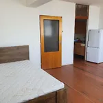 Rent 1 bedroom apartment in Mladá Boleslav