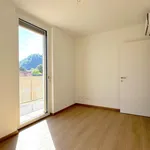 Rent 4 bedroom apartment of 123 m² in Graz